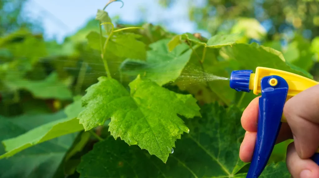 How Call Answering Service Can Benefit Pest Control Businesses A Guide (2025)